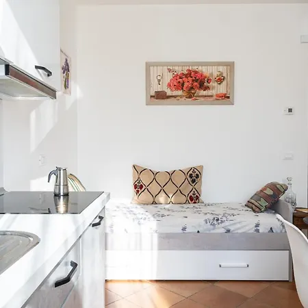 Gold Oasi - Business Solution