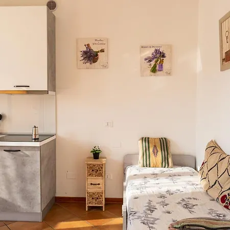 Gold Oasi - Business Solution